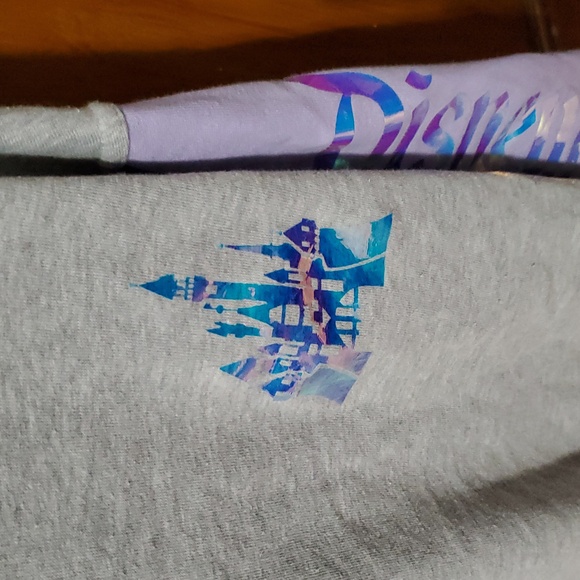 Disneyland Resort - Picture 2 of 3